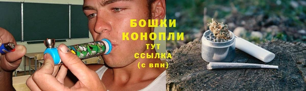 твердый Аркадак