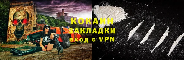 твердый Аркадак