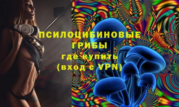 дмт Балахна