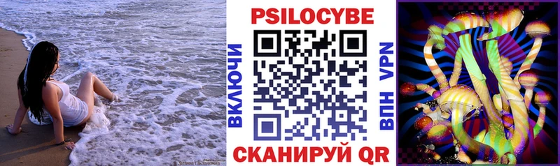 где купить наркоту  Приозерск  Псилоцибиновые грибы мухоморы 